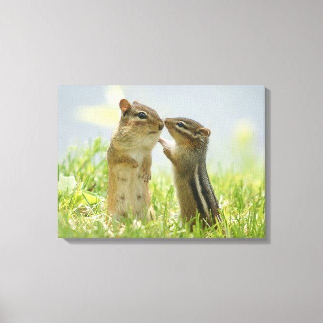 Mother And Baby Chipmunk Canvas Print (Front)