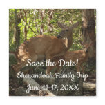 Mother and Baby Deer at Shenandoah National Park