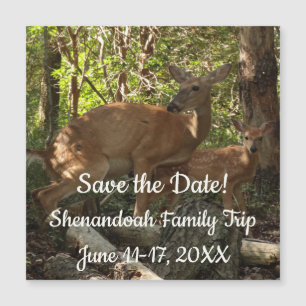 Mother and Baby Deer at Shenandoah National Park