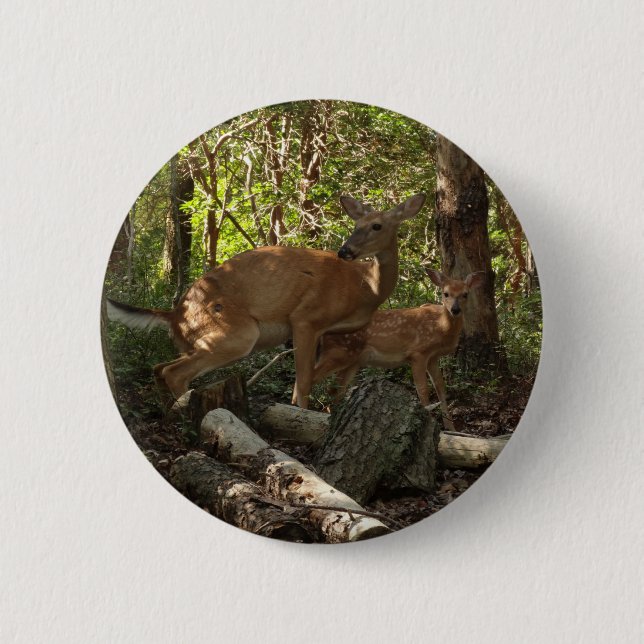 Mother and Baby Deer at Shenandoah National Park Button (Front)