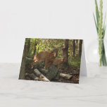 Mother and Baby Deer at Shenandoah National Park Card