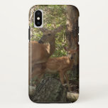 Mother and Baby Deer at Shenandoah National Park iPhone XS Case