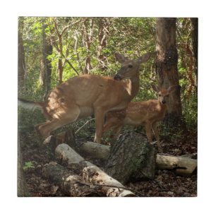 Mother and Baby Deer at Shenandoah National Park Ceramic Tile