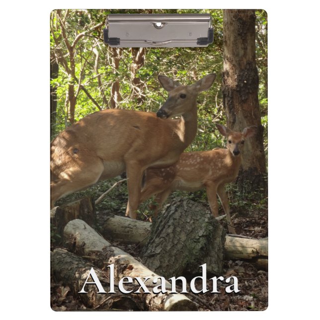 Mother and Baby Deer at Shenandoah National Park Clipboard (Front)