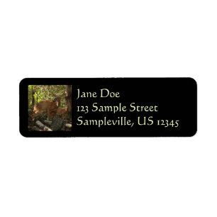 Mother and Baby Deer at Shenandoah National Park Label