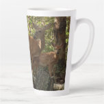 Mother and Baby Deer at Shenandoah National Park Latte Mug
