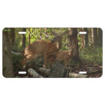 Mother and Baby Deer at Shenandoah National Park License Plate