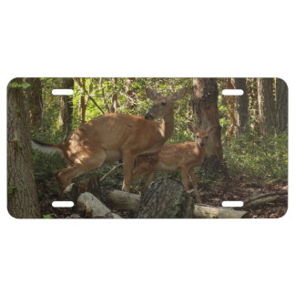 Mother and Baby Deer at Shenandoah National Park License Plate