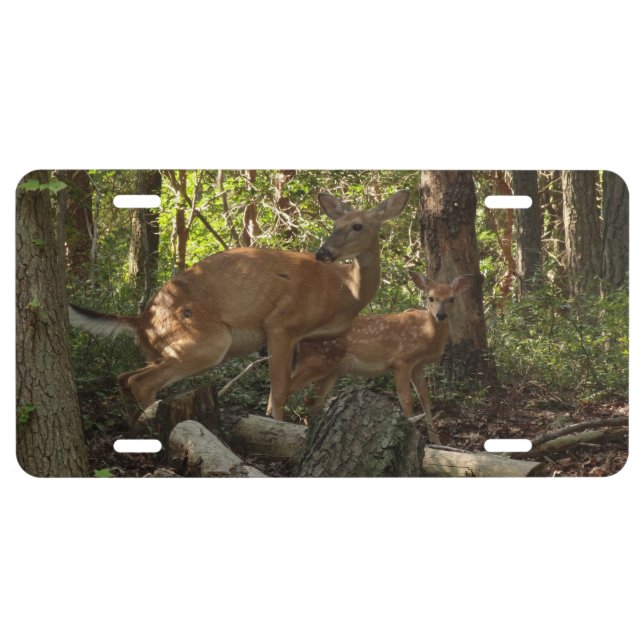 Mother and Baby Deer at Shenandoah National Park License Plate (Front)