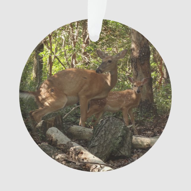 Mother and Baby Deer at Shenandoah National Park Ornament (Front)