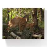 Mother and Baby Deer at Shenandoah National Park Paperweight