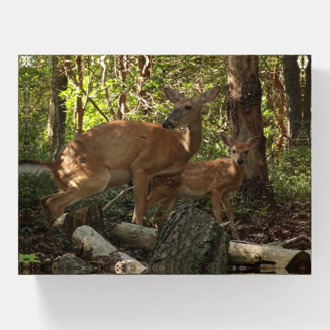 Mother and Baby Deer at Shenandoah National Park Paperweight (Front)