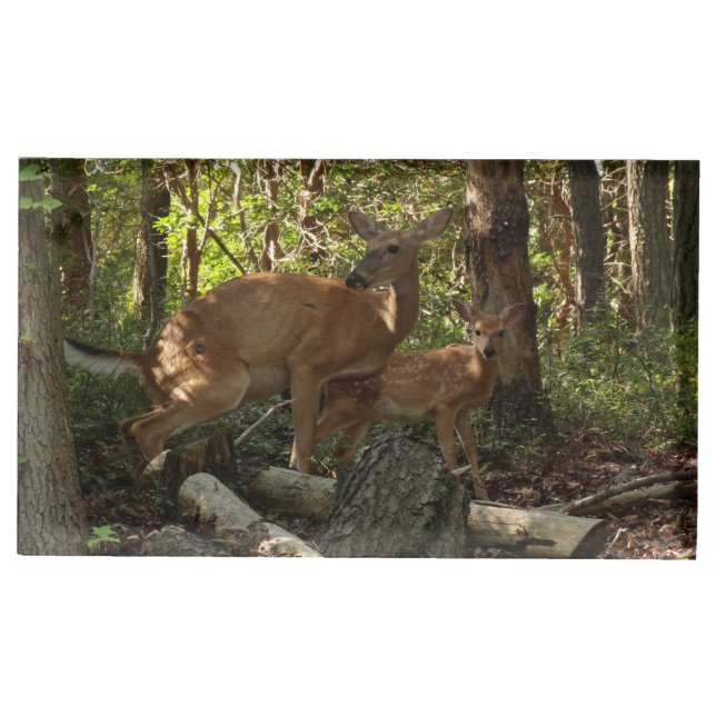 Mother and Baby Deer at Shenandoah National Park Place Card Holder (Front)