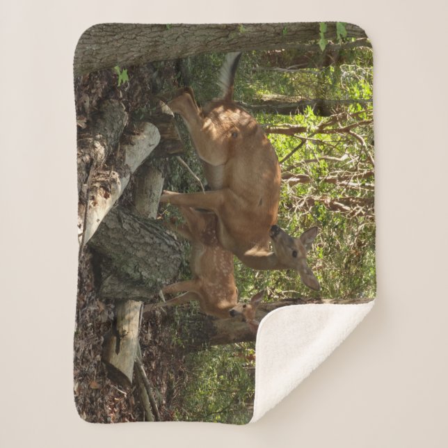 Mother and Baby Deer at Shenandoah National Park Sherpa Blanket (Front)