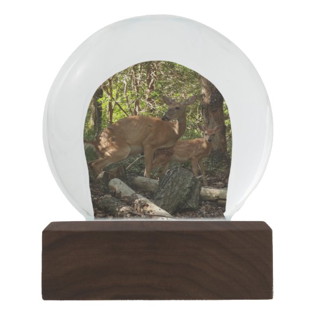 Mother and Baby Deer at Shenandoah National Park Snow Globe (Front)