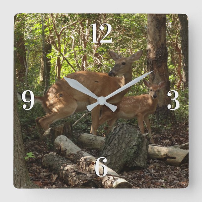 Mother and Baby Deer at Shenandoah National Park Square Wall Clock (Front)