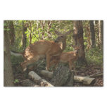 Mother and Baby Deer at Shenandoah National Park Tissue Paper