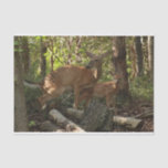 Mother and Baby Deer at Shenandoah National Park Tissue Paper