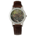 Mother and Baby Deer at Shenandoah National Park Watch