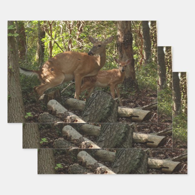 Mother and Baby Deer at Shenandoah National Park Wrapping Paper Sheets (Set)