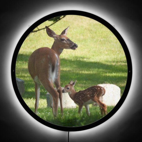 Mother and Baby Deer  LED Sign
