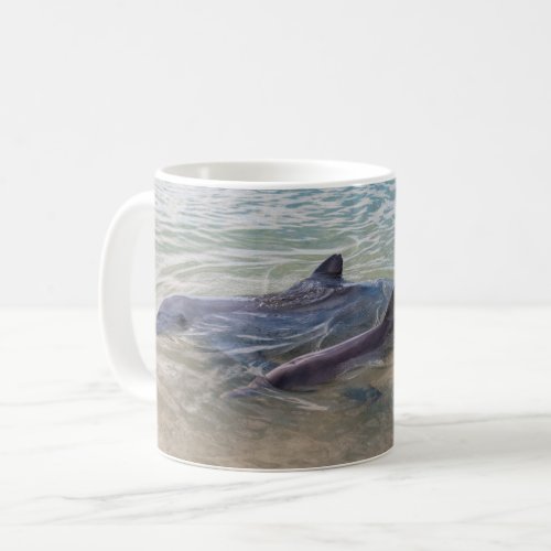 Mother and baby Dolphin close up Coffee Mug
