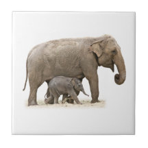 Baby Elephant Art Tile 4/"x4/" Decorative Ceramic New SD-147 Wild Animal