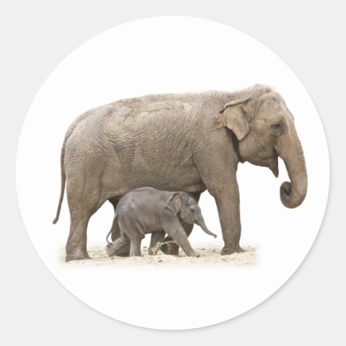 Mother and Baby Elephant Classic Round Sticker
