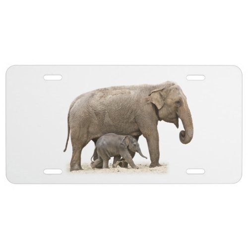 Mother and Baby Elephant License Plate