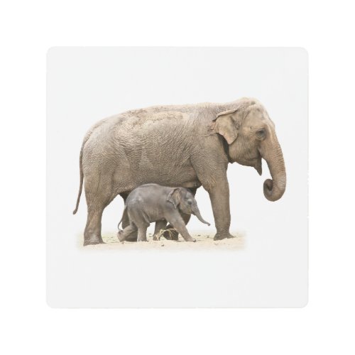 Mother and Baby Elephant Metal Print