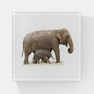 Mother and Baby Elephant Paperweight