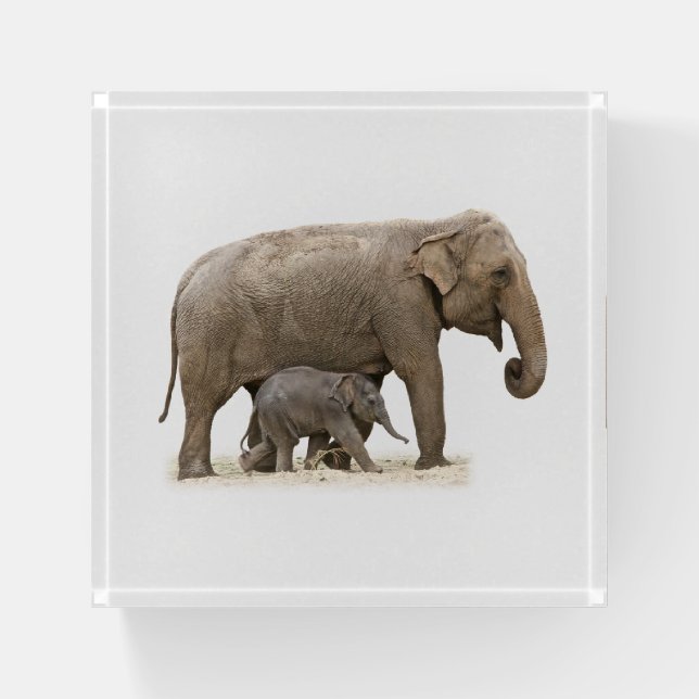 Mother and Baby Elephant Paperweight (Front)