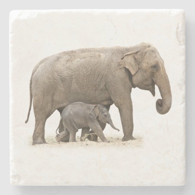 Mother and Baby Elephant Stone Coaster (Front)