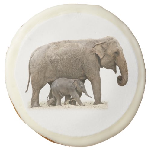 Mother and Baby Elephant Sugar Cookie