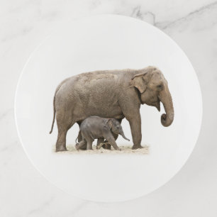 Mother and Baby Elephant Trinket Tray