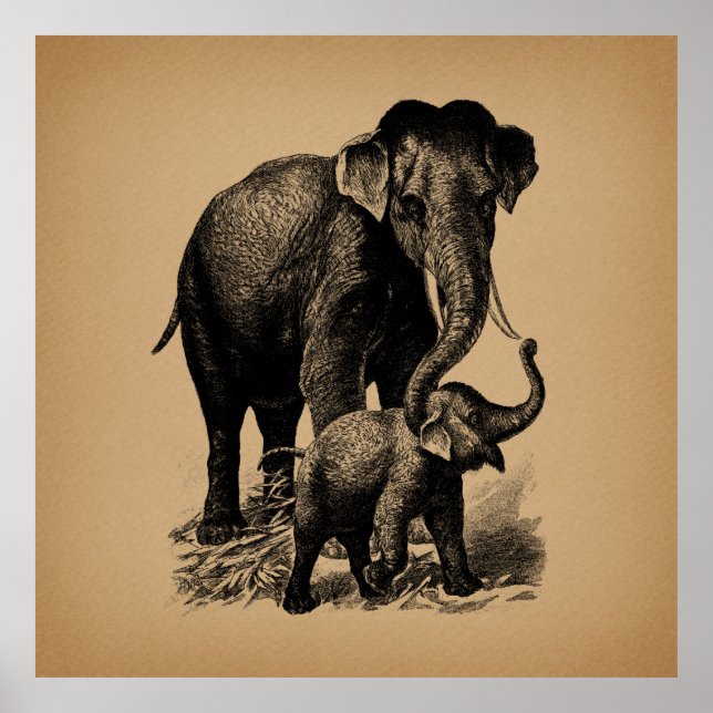 Mother and Baby Elephant Vintage Art Poster (Front)