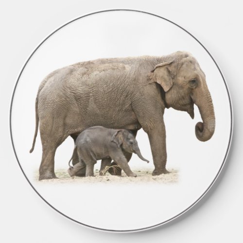 Mother and Baby Elephant Wireless Charger