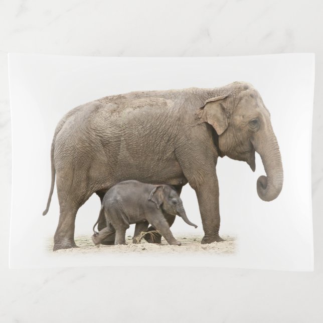 Mother and Baby Elephants Trinket Tray (Front)