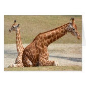 Mother And Baby Giraffe (Front Horizontal)