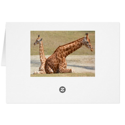 Mother And Baby Giraffe (Back Horizontal)
