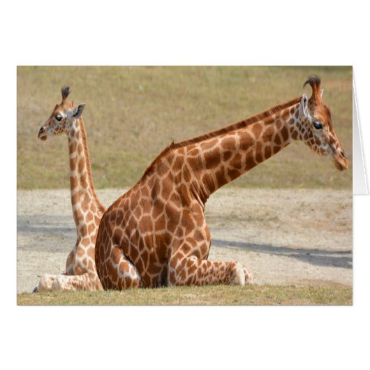 Mother And Baby Giraffe Cards (Front Horizontal)