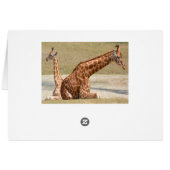 Mother And Baby Giraffe Cards (Back Horizontal)