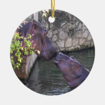 Mother And Baby Hippo Ornament by saveena at Zazzle