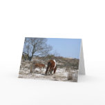 Mother and Baby Horse at Assateague Card