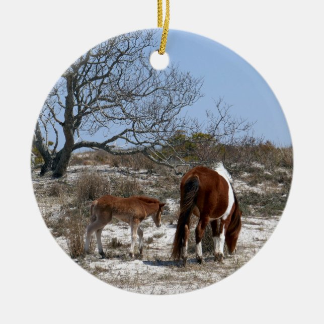 Mother and Baby Horse at Assateague Ceramic Ornament (Front)