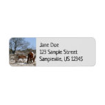 Mother and Baby Horse at Assateague National Park Label