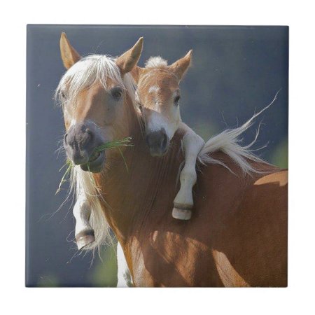 Mother And Baby Horse Ceramic Tile
