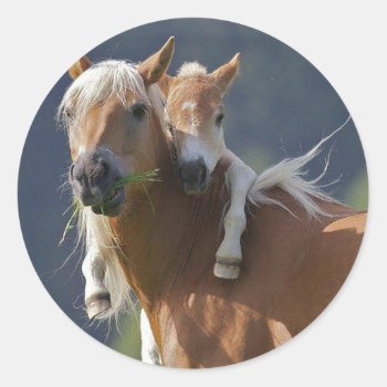 Mother And Baby Horse Classic Round Sticker by deenies at Zazzle
