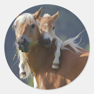 Mother and Baby Horse Classic Round Sticker