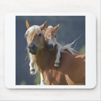 Mother and Baby Horse Mouse Pad